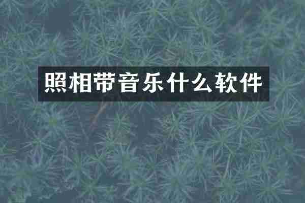 照相带音乐什么软件