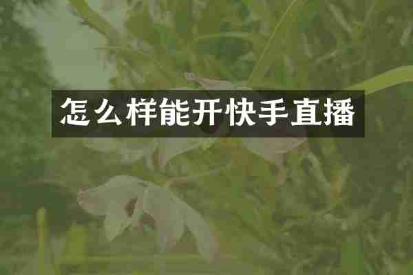 怎么样能开快手直播