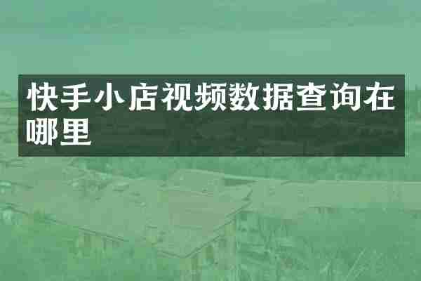 快手小店视频数据查询在哪里