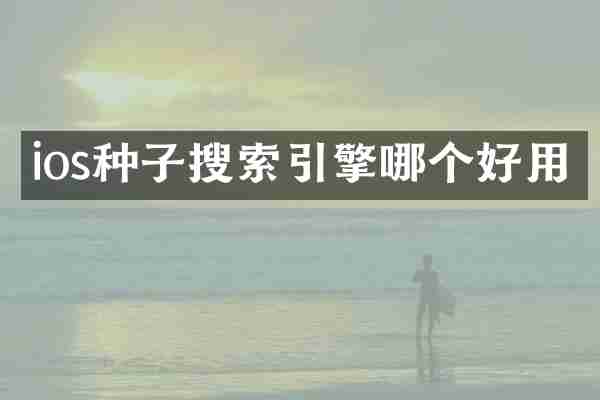 ios种子搜索引擎哪个好用