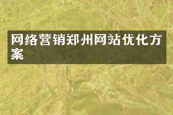 网络营销郑州网站优化方案