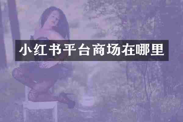 小红书平台商场在哪里