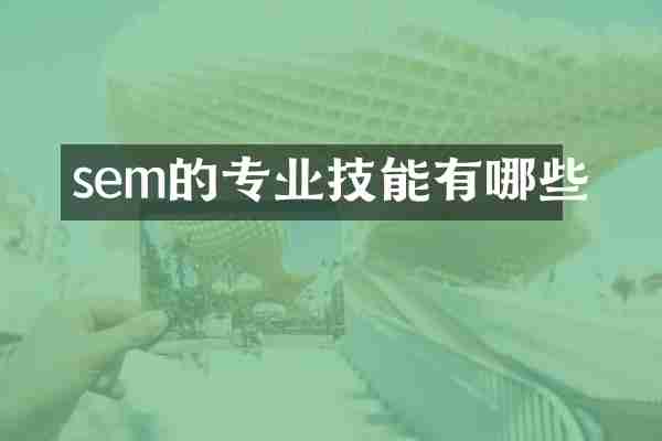 sem的专业技能有哪些