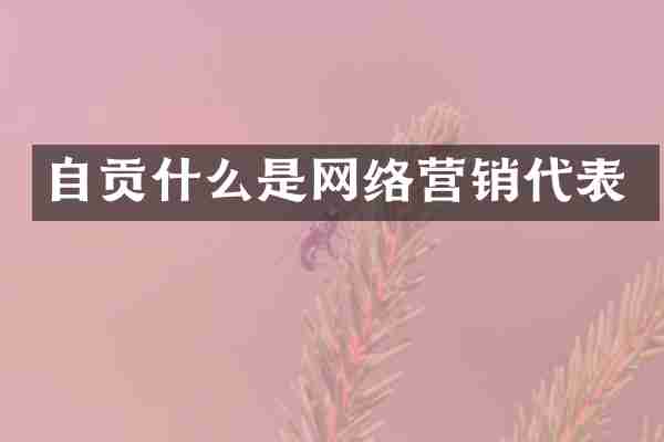 自贡什么是网络营销代表