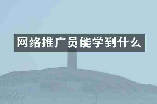 网络推广员能学到什么