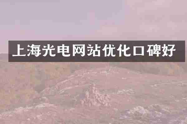 上海光电网站优化口碑好