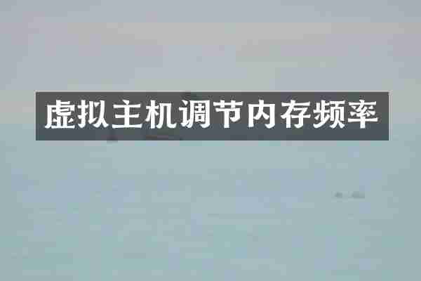 虚拟主机调节内存频率
