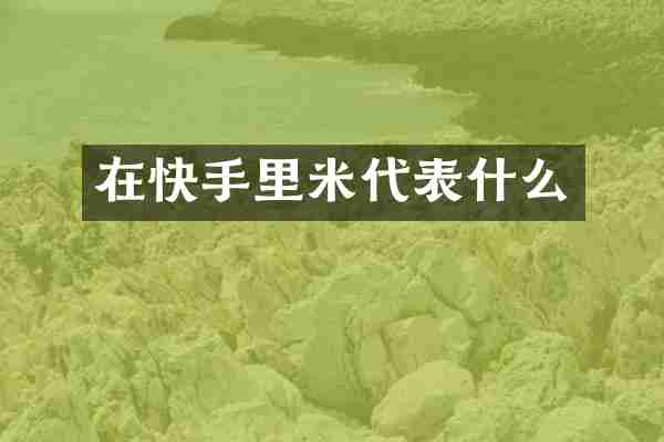 在快手里米代表什么