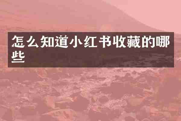 怎么知道小红书收藏的哪些
