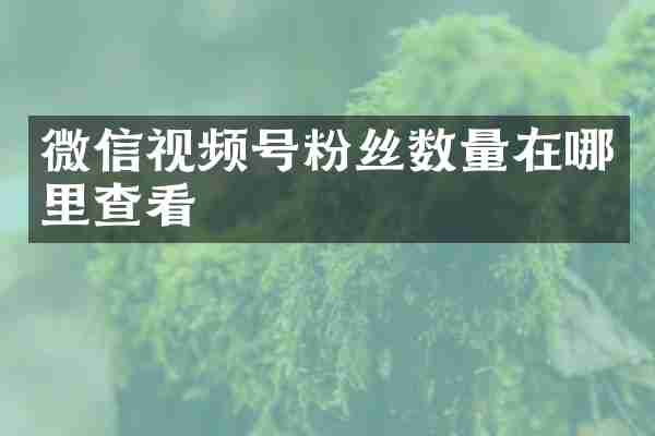 微信视频号粉丝数量在哪里查看