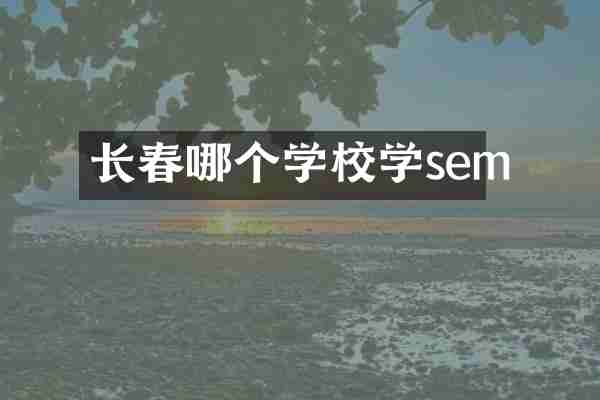 长春哪个学校学sem