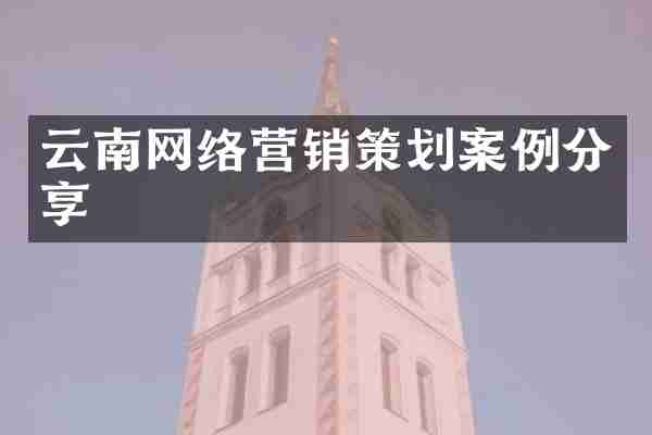 云南网络营销策划案例分享
