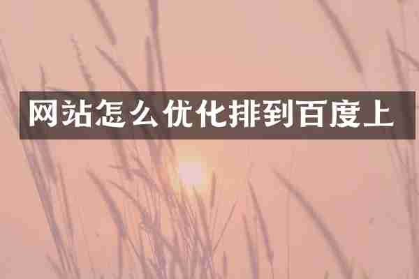 网站怎么优化排到百度上