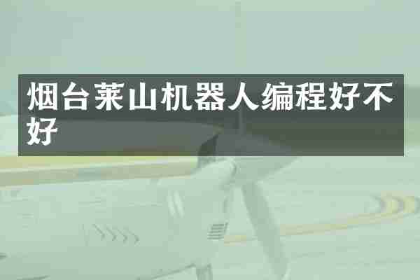 烟台莱山机器人编程好不好