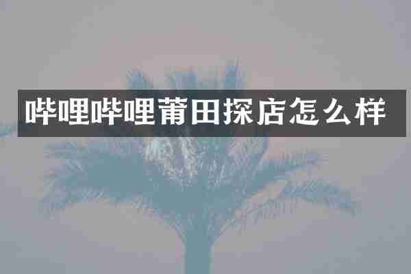 哔哩哔哩莆田探店怎么样