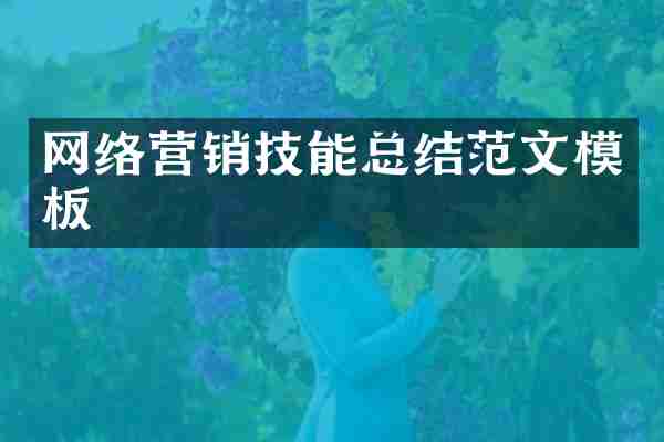 网络营销技能总结范文模板