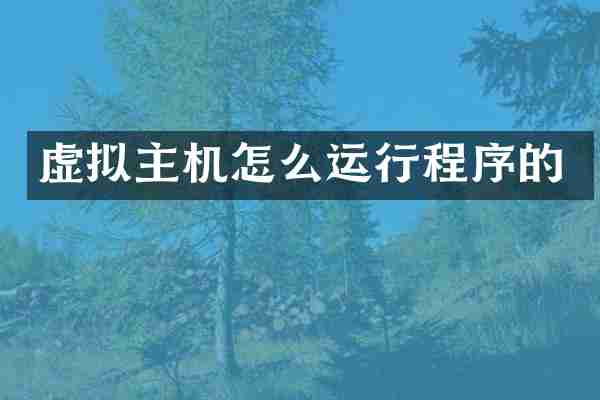 虚拟主机怎么运行程序的