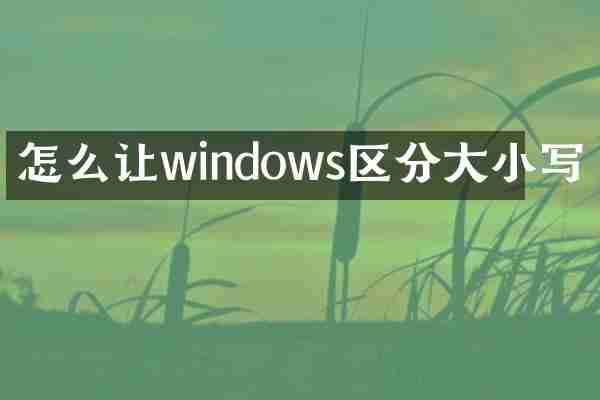 怎么让windows区分大小写