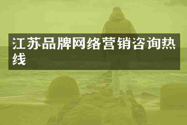 江苏品牌网络营销咨询热线