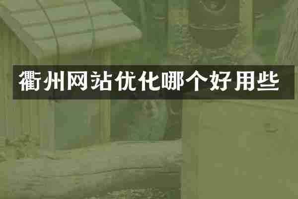 衢州网站优化哪个好用些