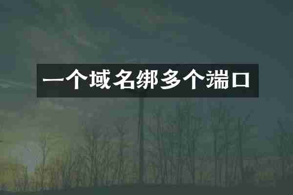 一个域名绑多个端口