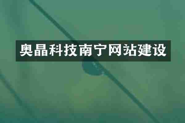 奥晶科技南宁网站建设