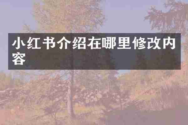 小红书介绍在哪里修改内容