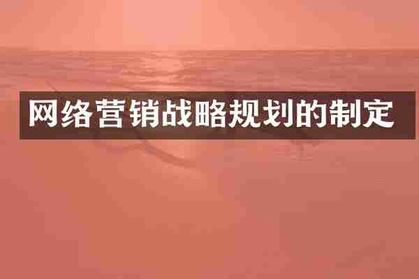 网络营销战略规划的制定