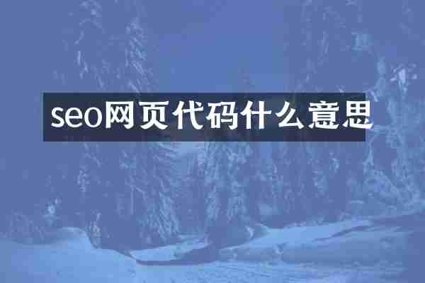 seo网页代码什么意思