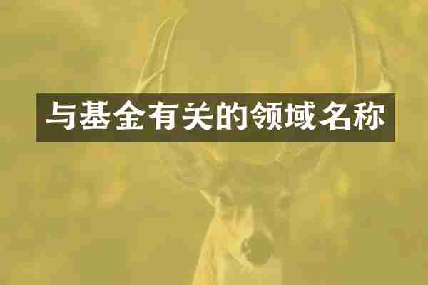 与基金有关的领域名称