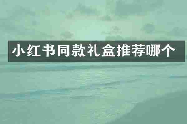 小红书同款礼盒推荐哪个