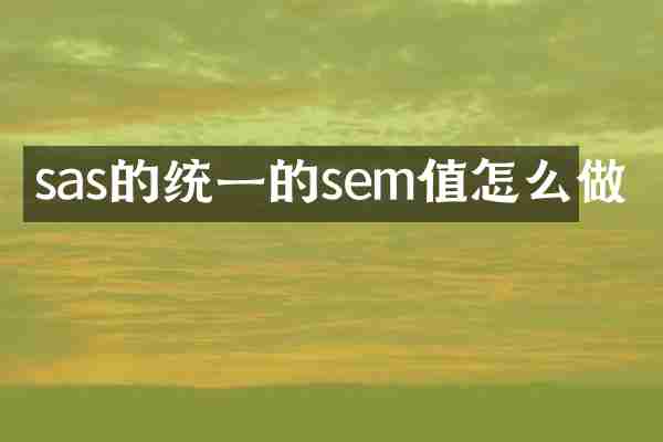 sas的统一的sem值怎么做