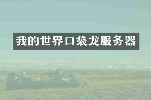 我的世界口袋龙服务器