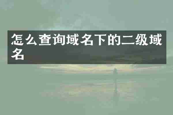 怎么查询域名下的二级域名