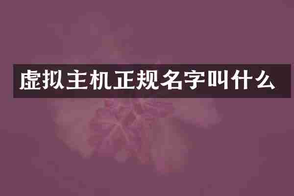 虚拟主机正规名字叫什么