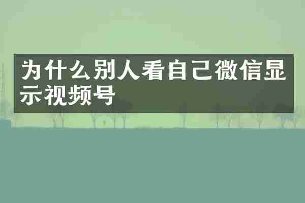 为什么别人看自己微信显示视频号