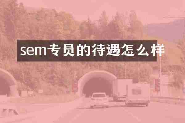 sem专员的待遇怎么样