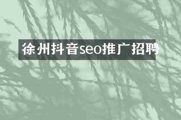徐州抖音seo推广招聘