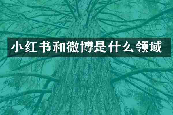 小红书和微博是什么领域