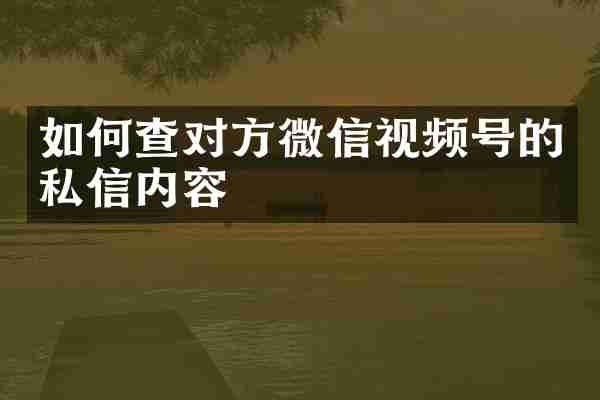 如何查对方微信视频号的私信内容