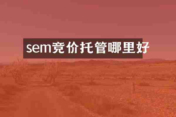 sem竞价托管哪里好