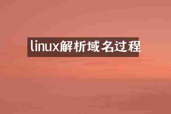 linux解析域名过程