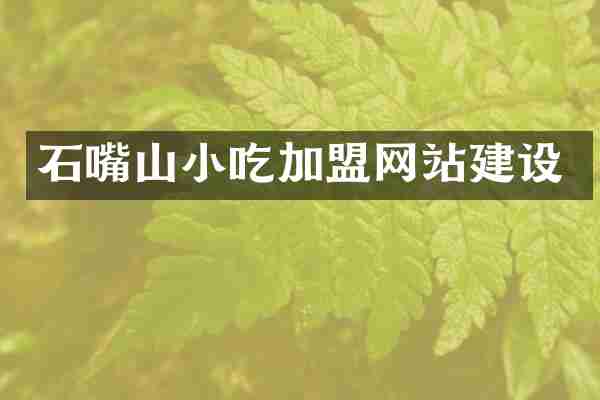 石嘴山小吃加盟网站建设