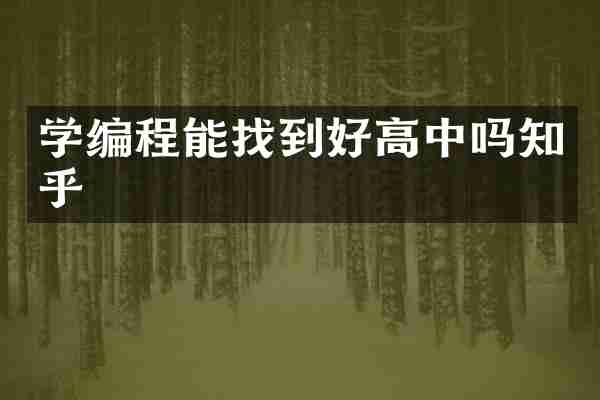 学编程能找到好高中吗知乎
