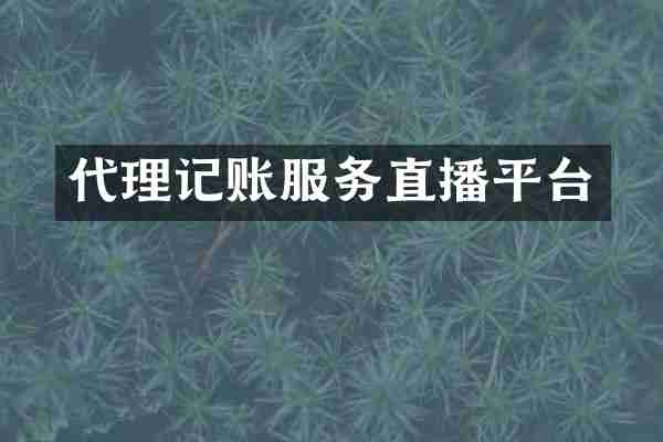 代理记账服务直播平台