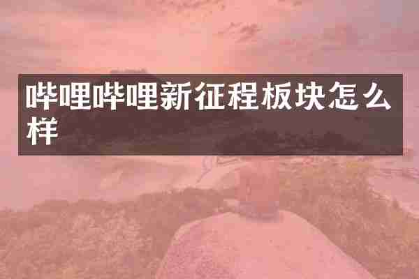 哔哩哔哩新征程板块怎么样
