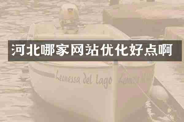 河北哪家网站优化好点啊