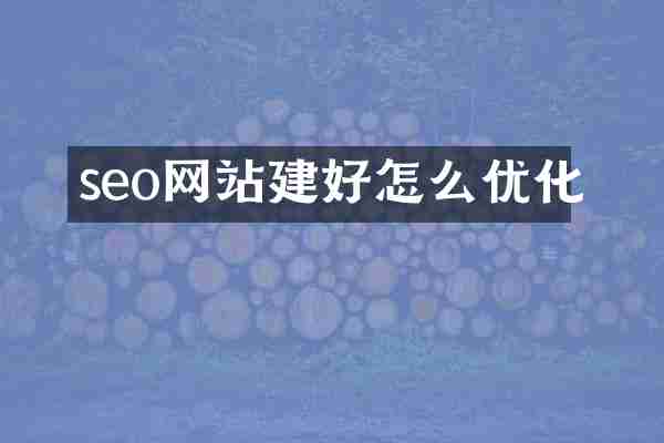 seo网站建好怎么优化