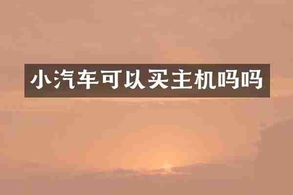 小汽车可以买主机吗吗