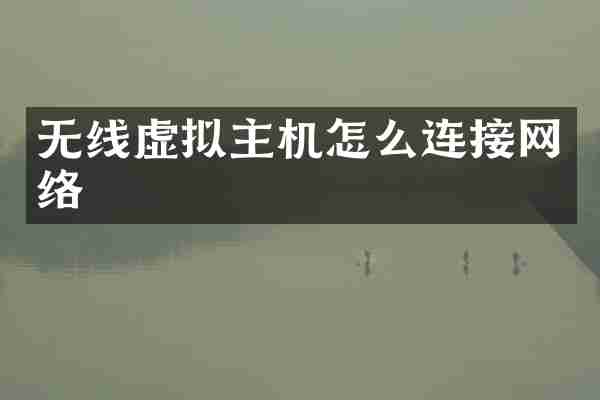 无线虚拟主机怎么连接网络
